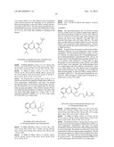 NOVEL COMPOUNDS WITH HIGH THERAPEUTIC INDEX diagram and image