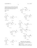 NOVEL COMPOUNDS WITH HIGH THERAPEUTIC INDEX diagram and image