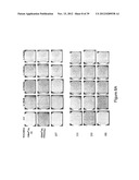 LOWER DOSAGE STRENGTH IMIQUIMOD FORMULATIONS AND SHORT DOSING REGIMENS FOR     TREATING GENITAL AND PERIANAL WARTS diagram and image