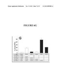 Lipase Inhibitors for the Treatment of Pancreatitis and Organ Failure diagram and image