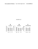 Lipase Inhibitors for the Treatment of Pancreatitis and Organ Failure diagram and image