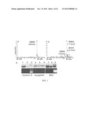 Tyrosine Bioconjugation through Aqueous Ene-Like Reactions diagram and image