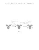 Tyrosine Bioconjugation through Aqueous Ene-Like Reactions diagram and image