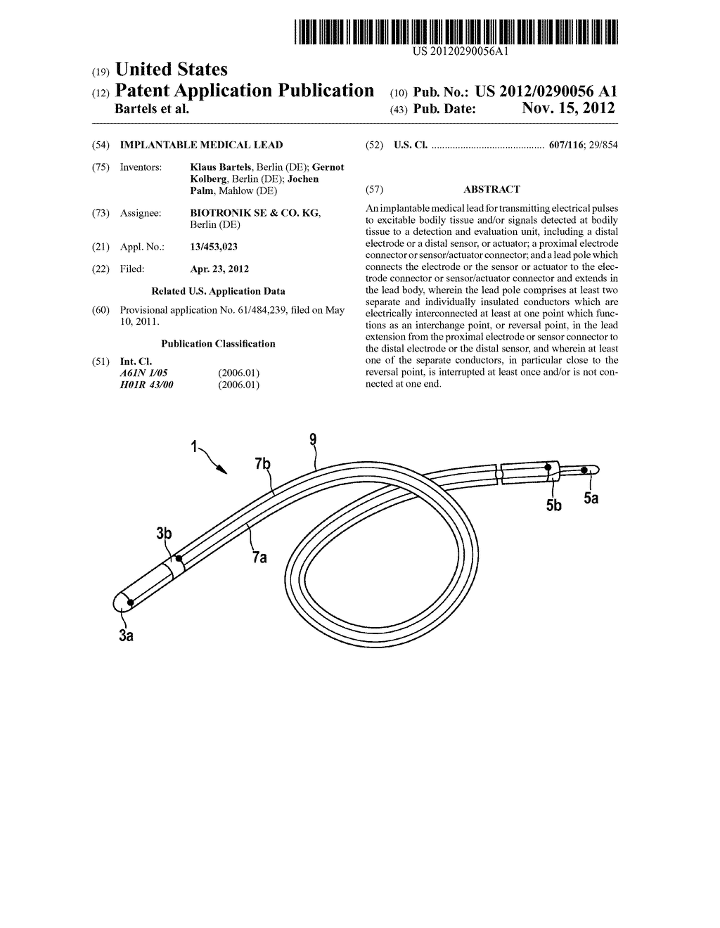 Implantable Medical Lead - diagram, schematic, and image 01