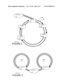 Static Ring Network for Vehicle Communications diagram and image