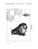 NETWORK DISTRIBUTION OF ANATOMICAL MODELS diagram and image