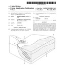 DESALINATION SUBSURFACE FEEDWATER SUPPLY AND BRINE DISPOSAL diagram and image