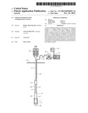 TUBING HANGER SETTING CONFIRMATION SYSTEM diagram and image