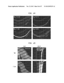 SYSTEMS AND METHODS FOR PARTICLE FOCUSING IN MICROCHANNELS diagram and image