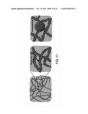 NANOPARTICLE ARRAY COMPRISING DISTRIBUTED NANOPARTICLES diagram and image