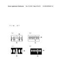 STEREO CAMERA diagram and image