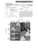 DETECTING STEREOSCOPIC IMAGES diagram and image