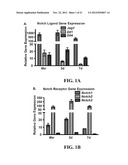 METHODS OF ISOLATING AND CULTURING MESENCHYMAL STEM CELLS diagram and image