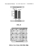 METHODS OF ISOLATING AND CULTURING MESENCHYMAL STEM CELLS diagram and image