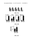 METHODS OF ISOLATING AND CULTURING MESENCHYMAL STEM CELLS diagram and image