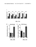 METHODS OF ISOLATING AND CULTURING MESENCHYMAL STEM CELLS diagram and image