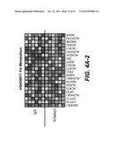 FGFR1 AGONISTS AND METHODS OF USE diagram and image