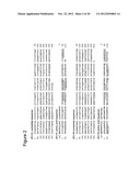 Anti-CD70 Antibody and Its Use for the Treatment and Prevention of Cancer     and Immune Disorders diagram and image