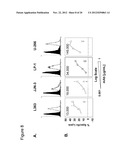 Anti-CD70 Antibody and Its Use for the Treatment and Prevention of Cancer     and Immune Disorders diagram and image