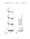 Anti-CD70 Antibody and Its Use for the Treatment and Prevention of Cancer     and Immune Disorders diagram and image