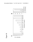 Anti-CD70 Antibody and Its Use for the Treatment and Prevention of Cancer     and Immune Disorders diagram and image