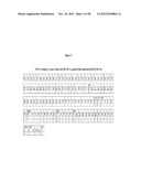 Endoglin Antibodies diagram and image