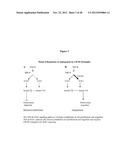 Endoglin Antibodies diagram and image