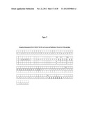 Endoglin Antibodies diagram and image