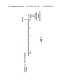 ANTI-TGF-BETA INDUCTION OF BONE CELL FUNCTION AND BONE GROWTH diagram and image