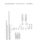 NOVEL IMMUNOGENIC COMPOSITIONS FOR THE PREVENTION AND TREATMENT OF     MENINGOCOCCAL DISEASE diagram and image