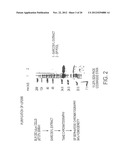 NOVEL IMMUNOGENIC COMPOSITIONS FOR THE PREVENTION AND TREATMENT OF     MENINGOCOCCAL DISEASE diagram and image