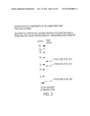 NOVEL IMMUNOGENIC COMPOSITIONS FOR THE PREVENTION AND TREATMENT OF     MENINGOCOCCAL DISEASE diagram and image