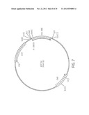 NOVEL IMMUNOGENIC COMPOSITIONS FOR THE PREVENTION AND TREATMENT OF     MENINGOCOCCAL DISEASE diagram and image