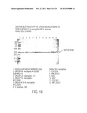 NOVEL IMMUNOGENIC COMPOSITIONS FOR THE PREVENTION AND TREATMENT OF     MENINGOCOCCAL DISEASE diagram and image