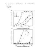 TOLL-LIKE RECEPTOR-7 AND -8 MODULATORY 1H IMIDAZOQUINOLINE DERIVED     COMPOUNDS diagram and image