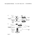 Phosphorylated and Branched Dihydroxy-Pentane-Dione (DPD) Analogs as     Quorum Sensing Inhibitors in Bacteria diagram and image