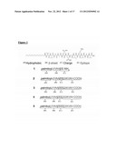 PEPTIDE AMPHIPHILES AND METHODS TO ELECTROSTATICALLY CONTROL BIOACTIVITY     OF THE IKVAV PEPTIDE EPITOPE diagram and image