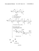 POLYSIALIC ACID-BASED N-TRIMETHYL CHITOSAN GEL NANOPARTICLES FOR SYSTEMIC     DRUG DELIVERY diagram and image