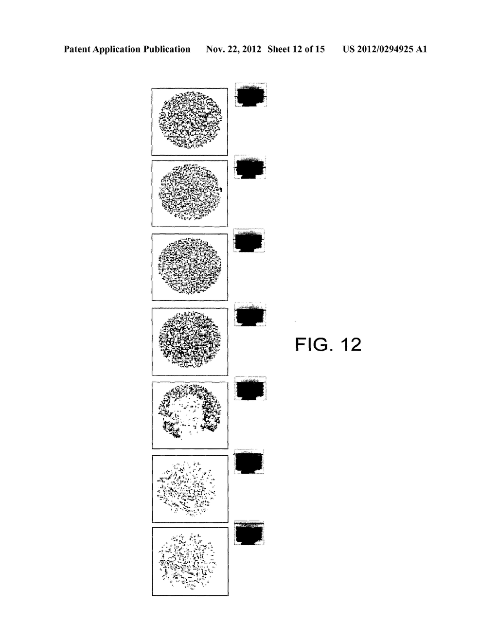 BIOMATERIAL - diagram, schematic, and image 13