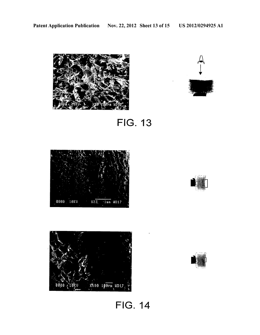 BIOMATERIAL - diagram, schematic, and image 14