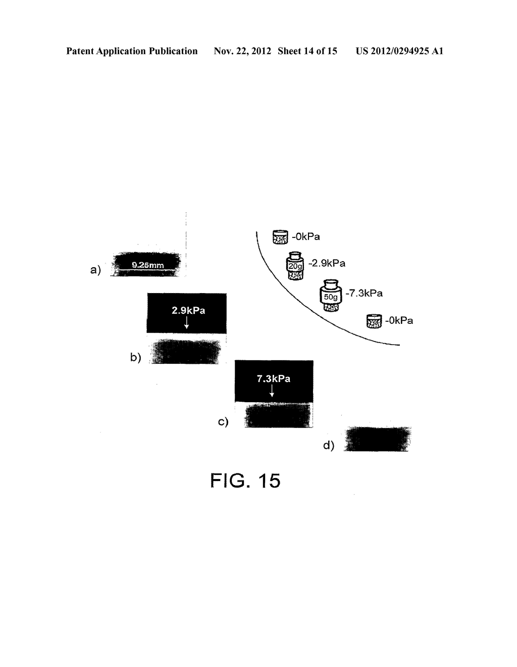 BIOMATERIAL - diagram, schematic, and image 15