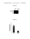 METHOD OF TREATING SCARS AND B-CATENIN-MEDIATED DISORDERS USING NEFOPAM     COMPOUNDS diagram and image