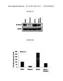 METHOD OF TREATING SCARS AND B-CATENIN-MEDIATED DISORDERS USING NEFOPAM     COMPOUNDS diagram and image