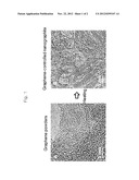 FABRICATION METHOD OF GRAPHENE-CONTROLLED NANO-GRAPHITE diagram and image