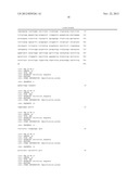 METHOD FOR THE IN VITRO DIAGNOSIS OF BRONCHOPULMONARY CARCINOMA BY     DETECTION OF MAJOR ALTERNATIVE TRANSCRIPTS OF THE KLK8 GENE ENCODING     KALLICREIN 8 AND USE THEREOF FOR PROGNOSTICATING SURVIVAL diagram and image