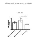 Chlorite in the Treatment of Neurodegenerative Disease diagram and image