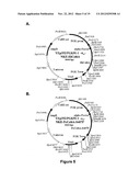 CARBOHYDATE BINDING MODULES WITH REDUCED BINDING TO LIGNIN diagram and image