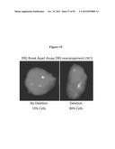 RECURRENT GENE FUSIONS IN PROSTATE CANCER diagram and image