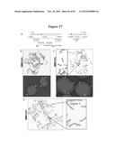 RECURRENT GENE FUSIONS IN PROSTATE CANCER diagram and image