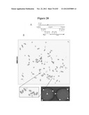 RECURRENT GENE FUSIONS IN PROSTATE CANCER diagram and image